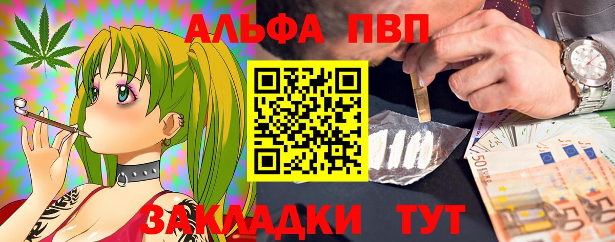 Alfa_PVP СК Сыктывкар
