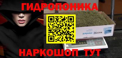молекула духа Рязань