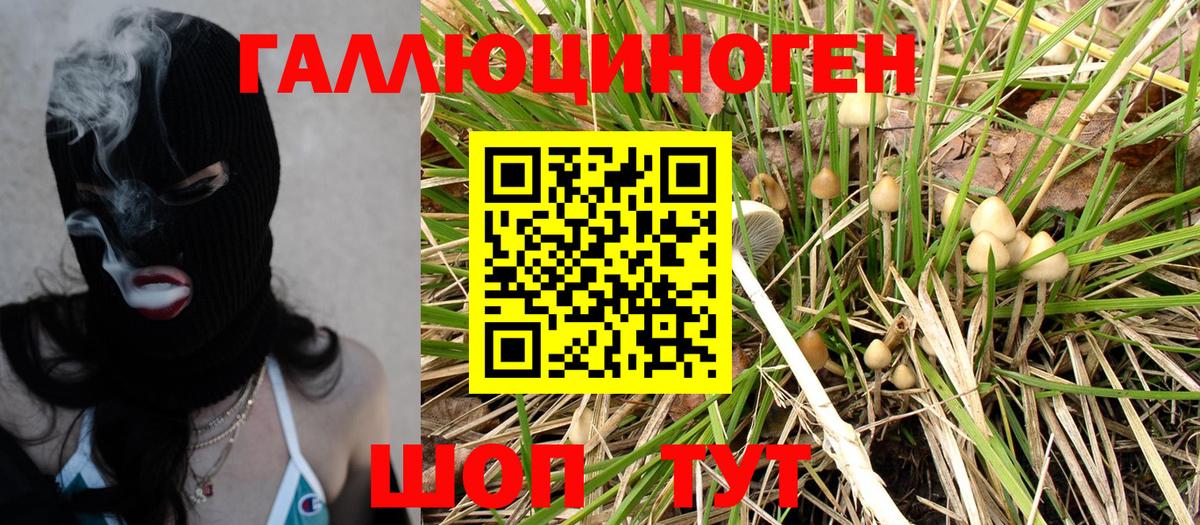 Псилоцибиновые грибы MAGIC MUSHROOMS Сыктывкар