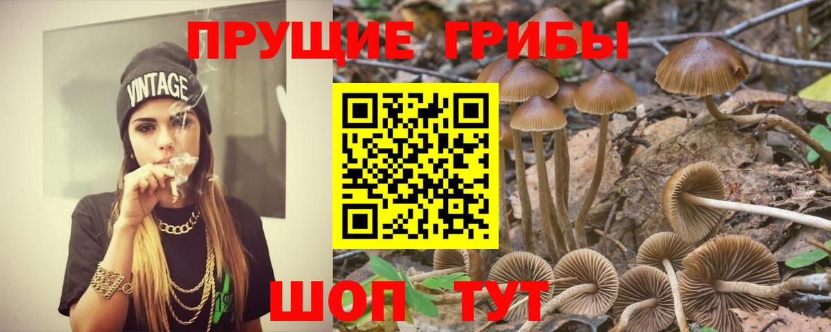 закладка  Псилоцибиновые грибы Magic Shrooms  Вход с VPN  Сыктывкар 